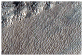 Gully Alcove in Lyot Crater
