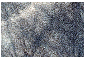 Mottled Terrain
