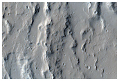 Wrinkle Ridge on Olympus Mons
