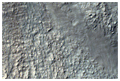 Gully Monitoring
