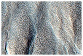 Gully Monitoring
