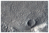 Layered Features in Brain Terrain in Arabia Terra
