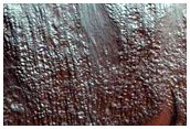 Gully Monitoring
