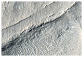Ridges on Crater Floor West of Coloe Fossae

