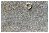 Monitoring New Impact Site
