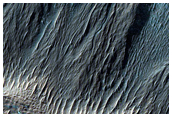 Gully Monitoring
