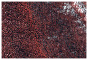 North Polar Layered Deposits
