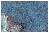 Northern Plains

