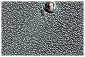 Small Ice-Filled North Polar Layered Deposits Crater
