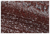 North Polar Layered Deposits
