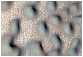 Polygons on Dunes in Crater
