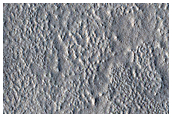 Ridges in Arcadia Planitia
