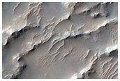 Landslide or Large Debris Flow in Melas Chasma
