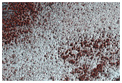 Mounds on North Polar Residual Ice
