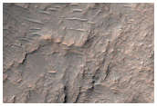 Rocky Area
