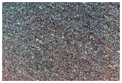 Teardrop Defrosting Features on Dunes
