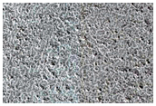 Terrain Sample
