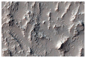 Sedimentary Clay Outcrop
