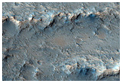 Ravi Vallis
