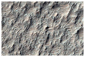Crater Floor
