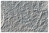 Mid-Latitude Terrain Sample
