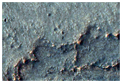 Bedrock Exposures in Northeast Syrtis Major Region