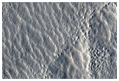 Crater with Gullies and Icy Flows
