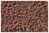 Mid-Latitude Terrain Sample

