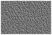 North Polar Residual Cap Monitoring
