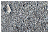 Terrain Sample
