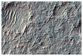 Rocky Crater Floor
