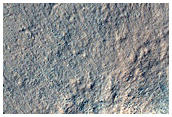 Low-Latitude Seasonal Frost
