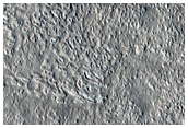 Arcadia Planitia
