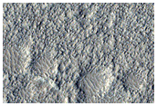 Acidalia Planitia Dust Devil Region