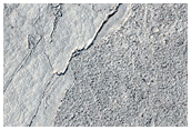 Elysium Planitia
