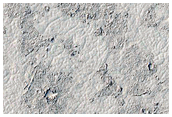Circular Features in Southern Elysium Planitia