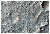 Terrain Sample

