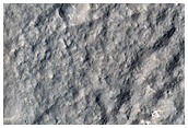 Rocky Plains
