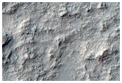 Rocky Plains
