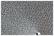 49-Meter Diameter Ice-Filled Crater in the North Polar Layered Deposits
