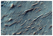 Diverse Bedrock in Northern Hellas Planitia
