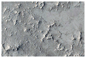 Arabia Region
