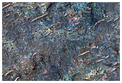Diverse Lithologies on a Crater Floor