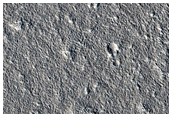 Terrain Sample
