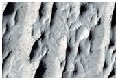 Raised Curvilinear Ridges