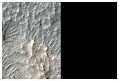 Rocky Ground
