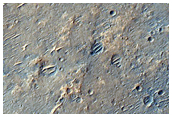 Surface Texture