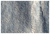 Gullied Crater Wall
