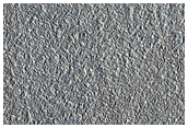 Flows in Arcadia Planitia
