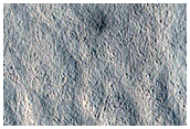 Monitoring New Impact Site

